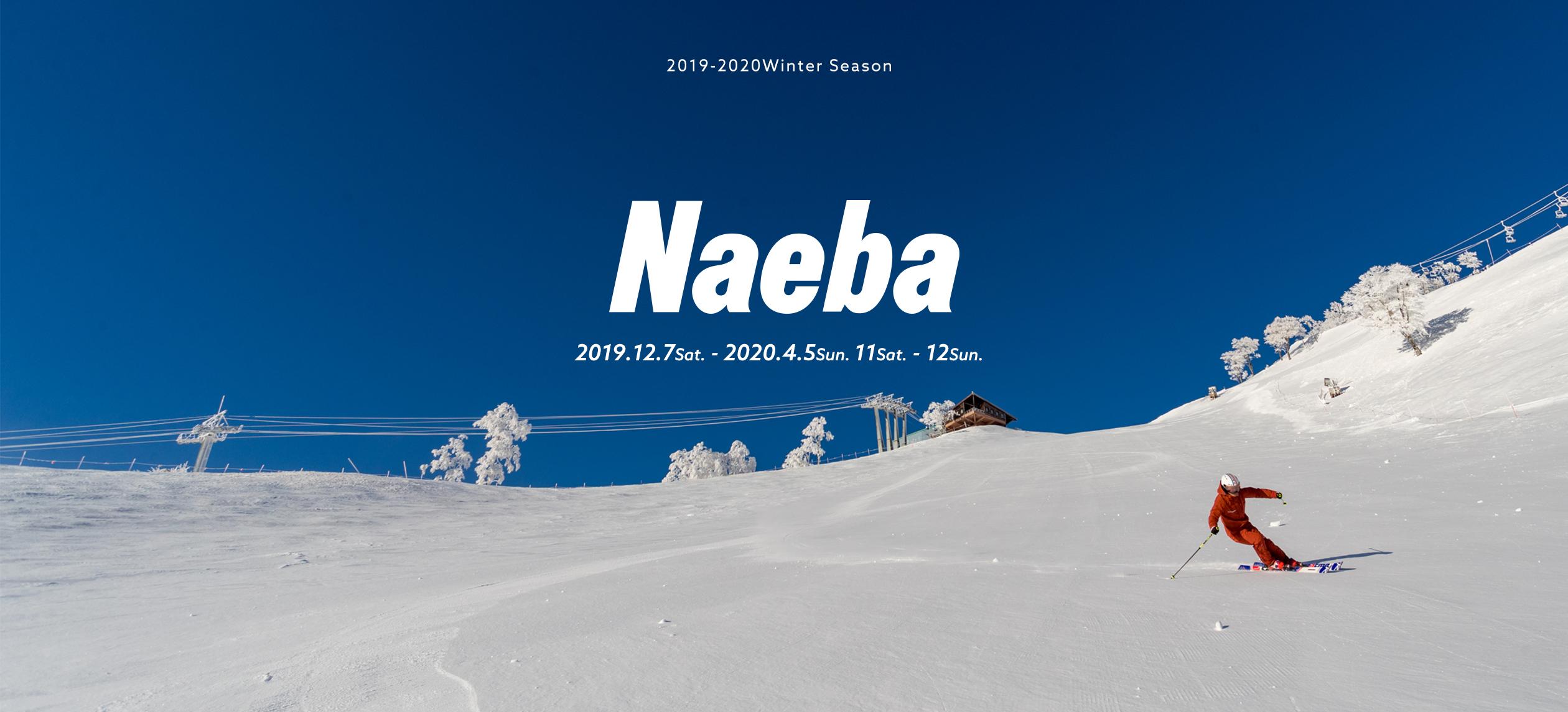 100 Epic Best苗場スキー場 ナイター 最高の花の画像