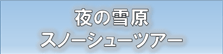 夜の雪原スノーシューツアー