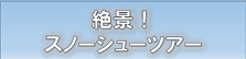 絶景!スノーシューツアー