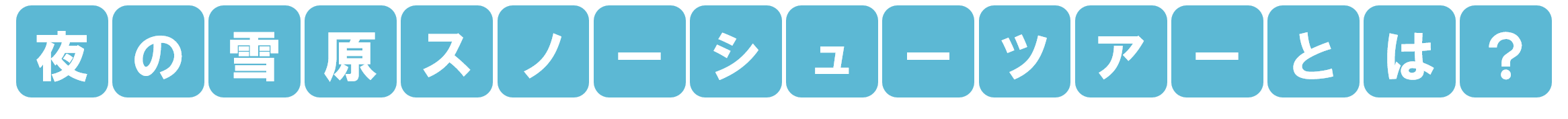 夜の雪原スノーシューツアーとは？