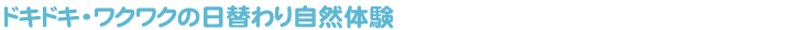ドキドキ・ワクワクの日替わり自然体験
