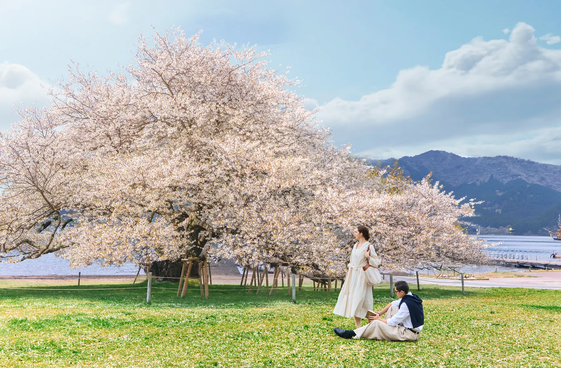 お花見宿泊プラン