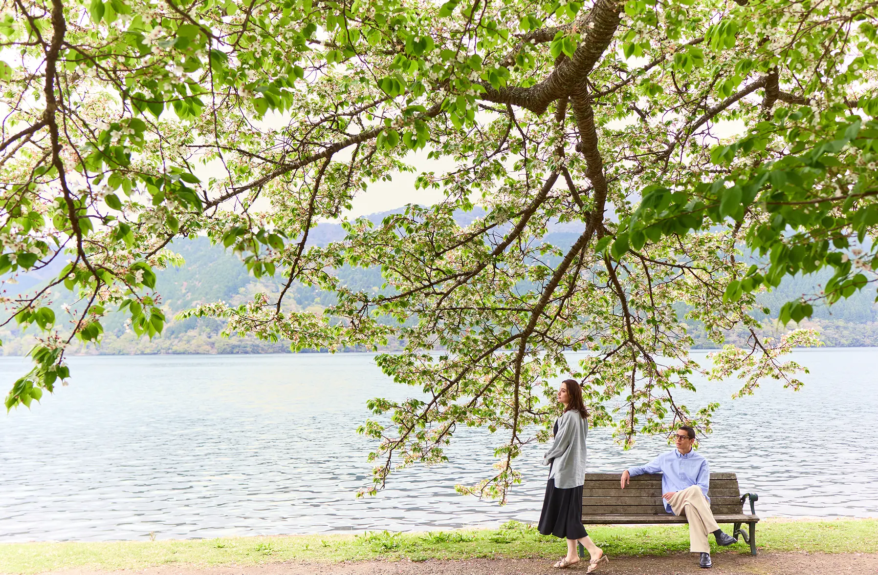 春のおすすめ宿泊プラン