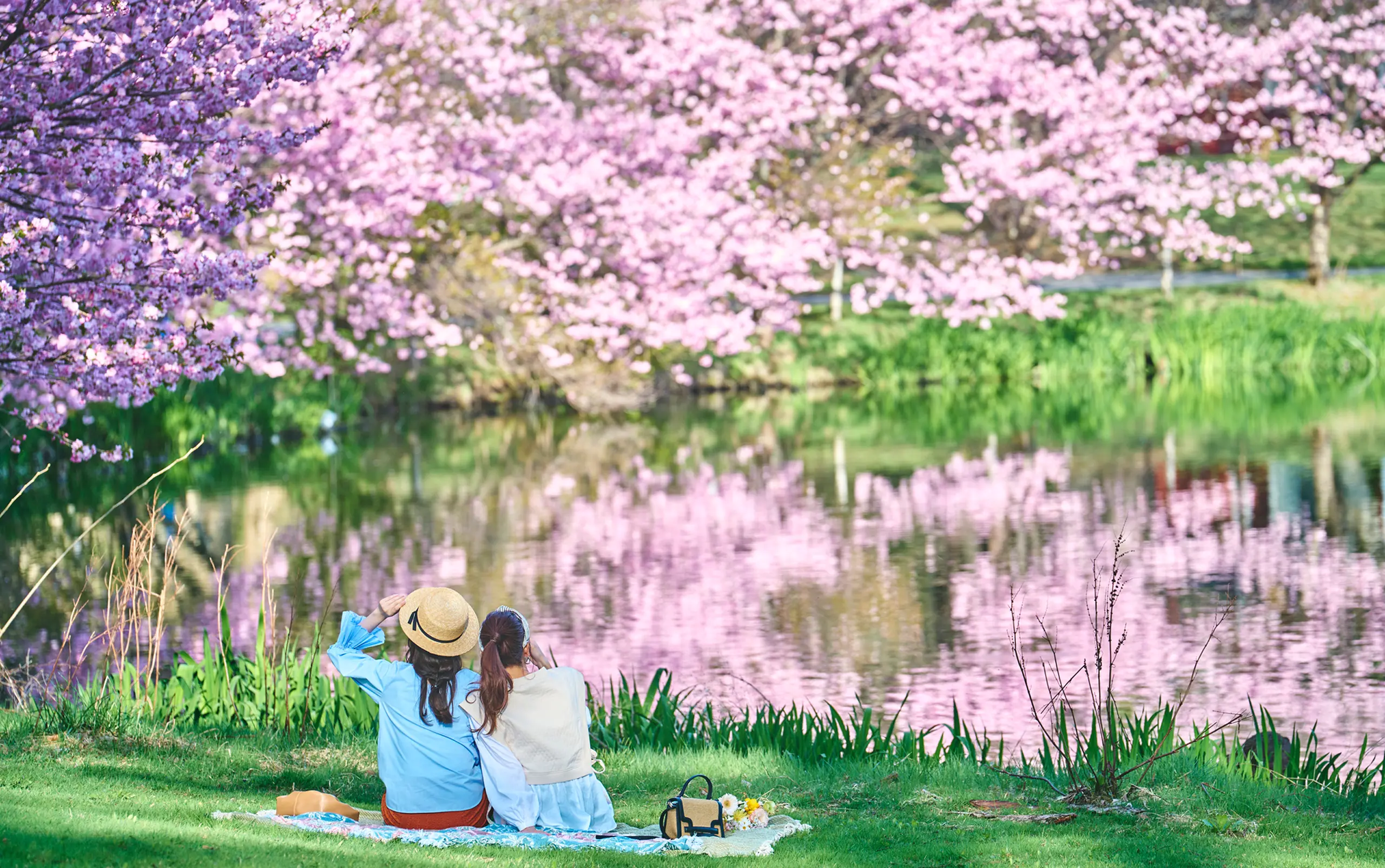 春の楽しみ方特集