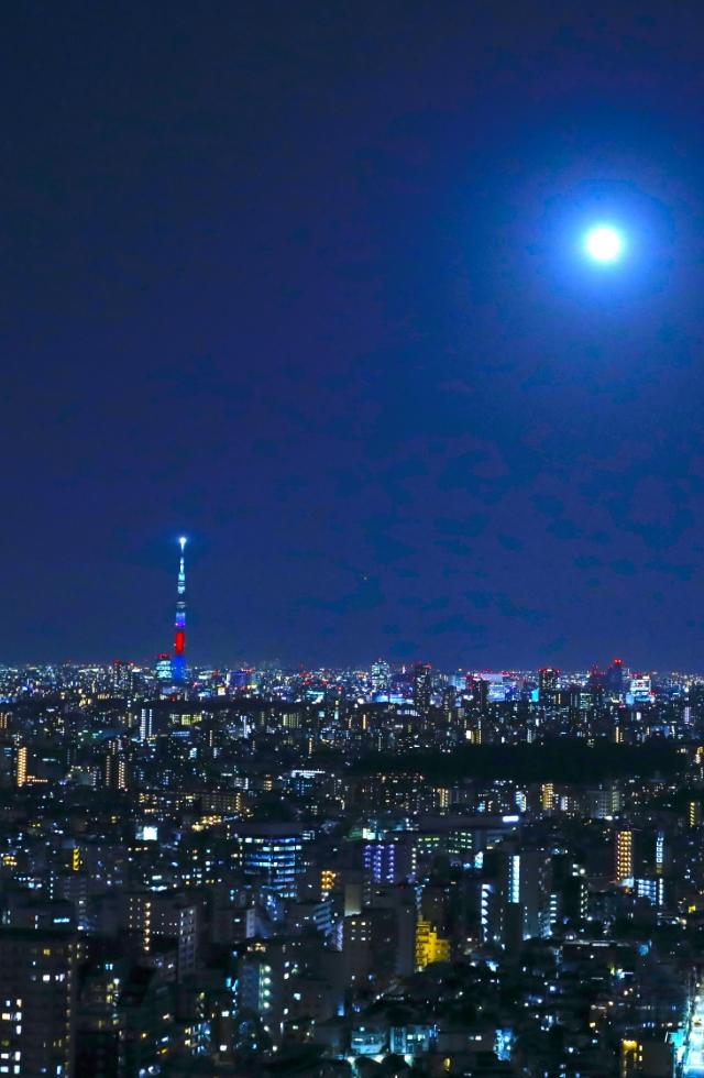 夜景ビル