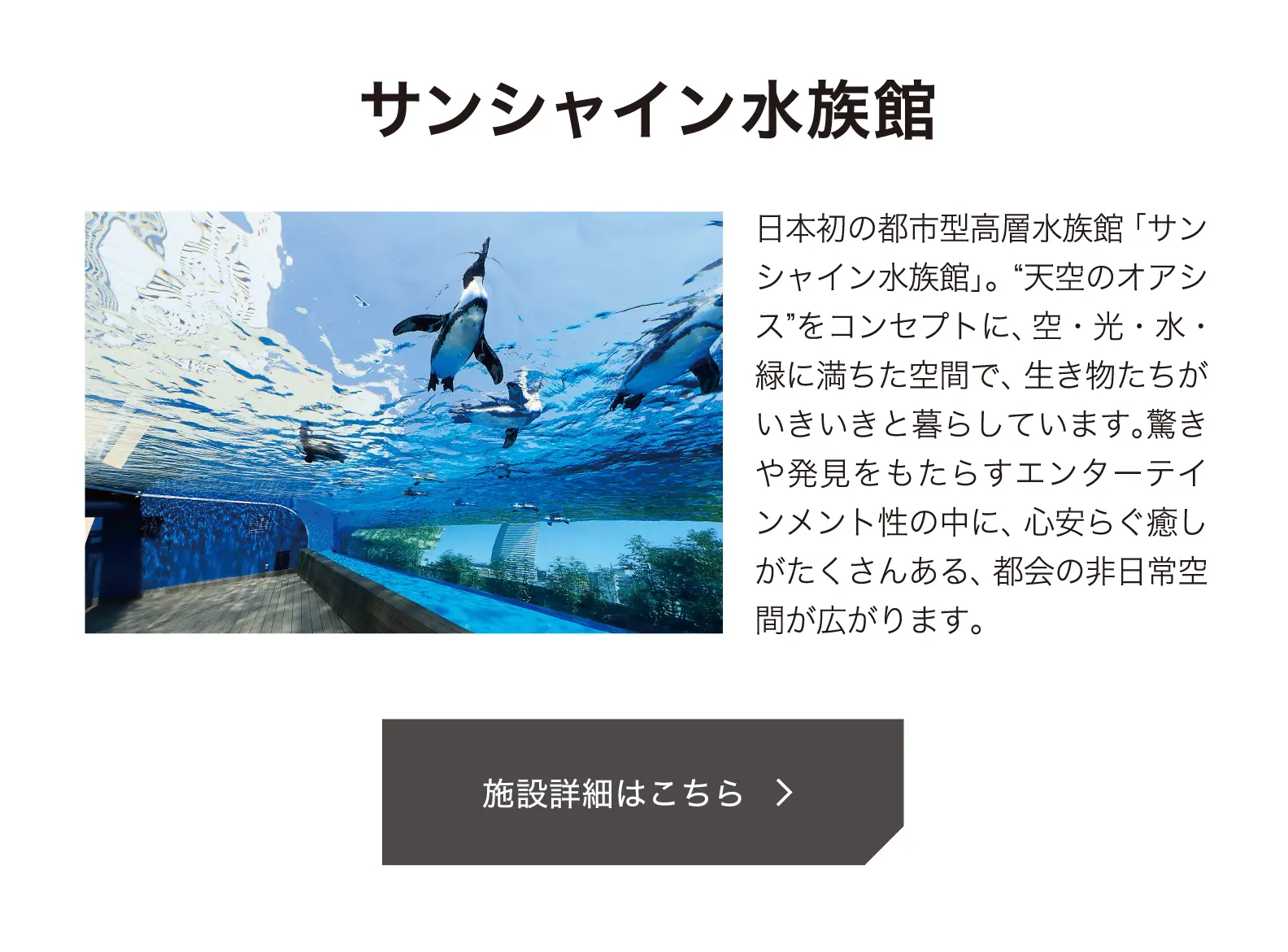 サンシャイン水族館