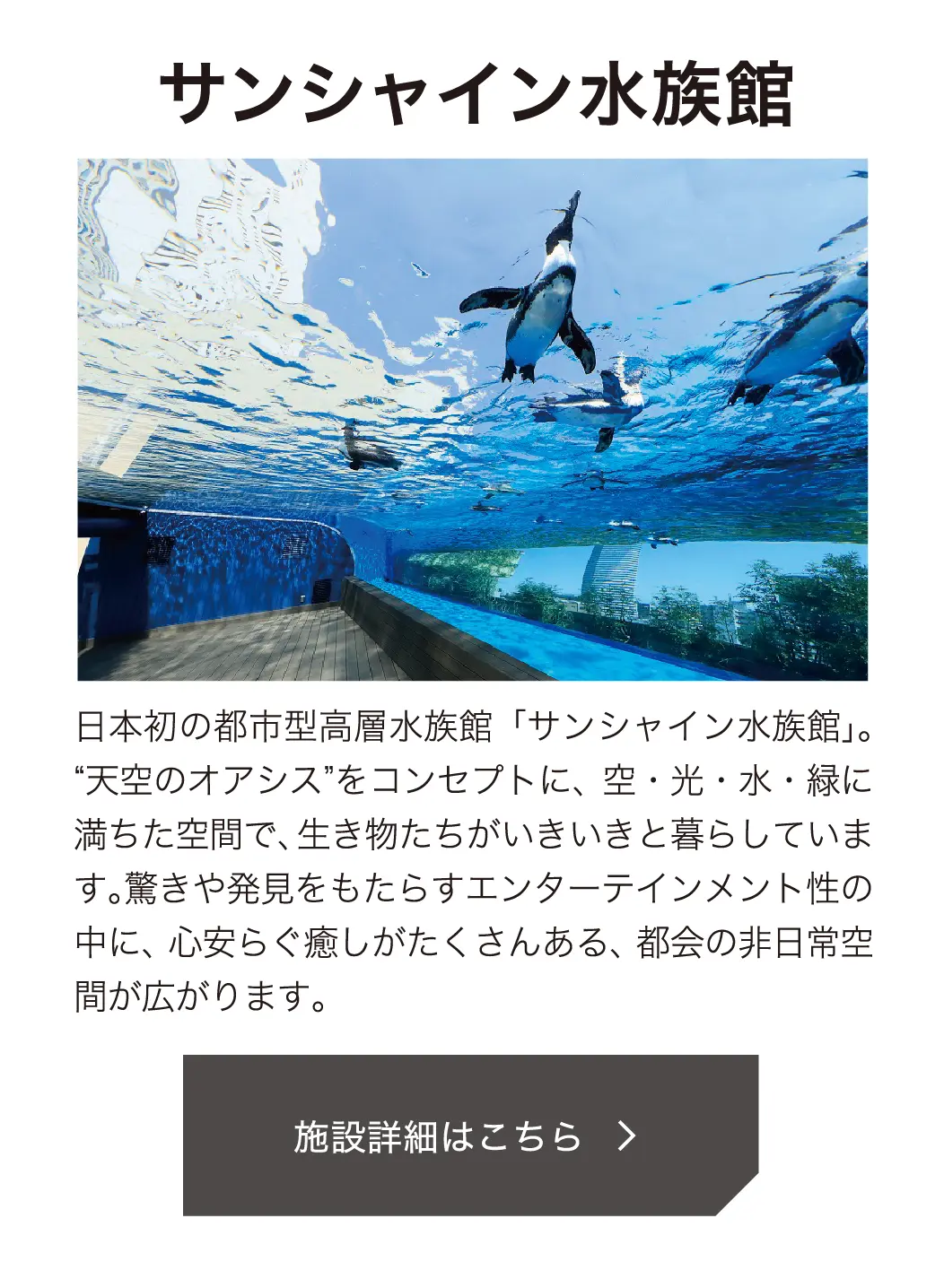 サンシャイン水族館