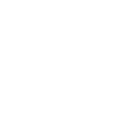 MAD TRIGGER CREW