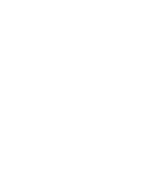 どついたれ本舗