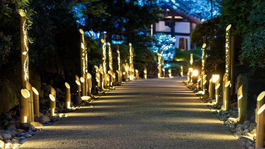 夜の日本庭園に灯る竹あかり。