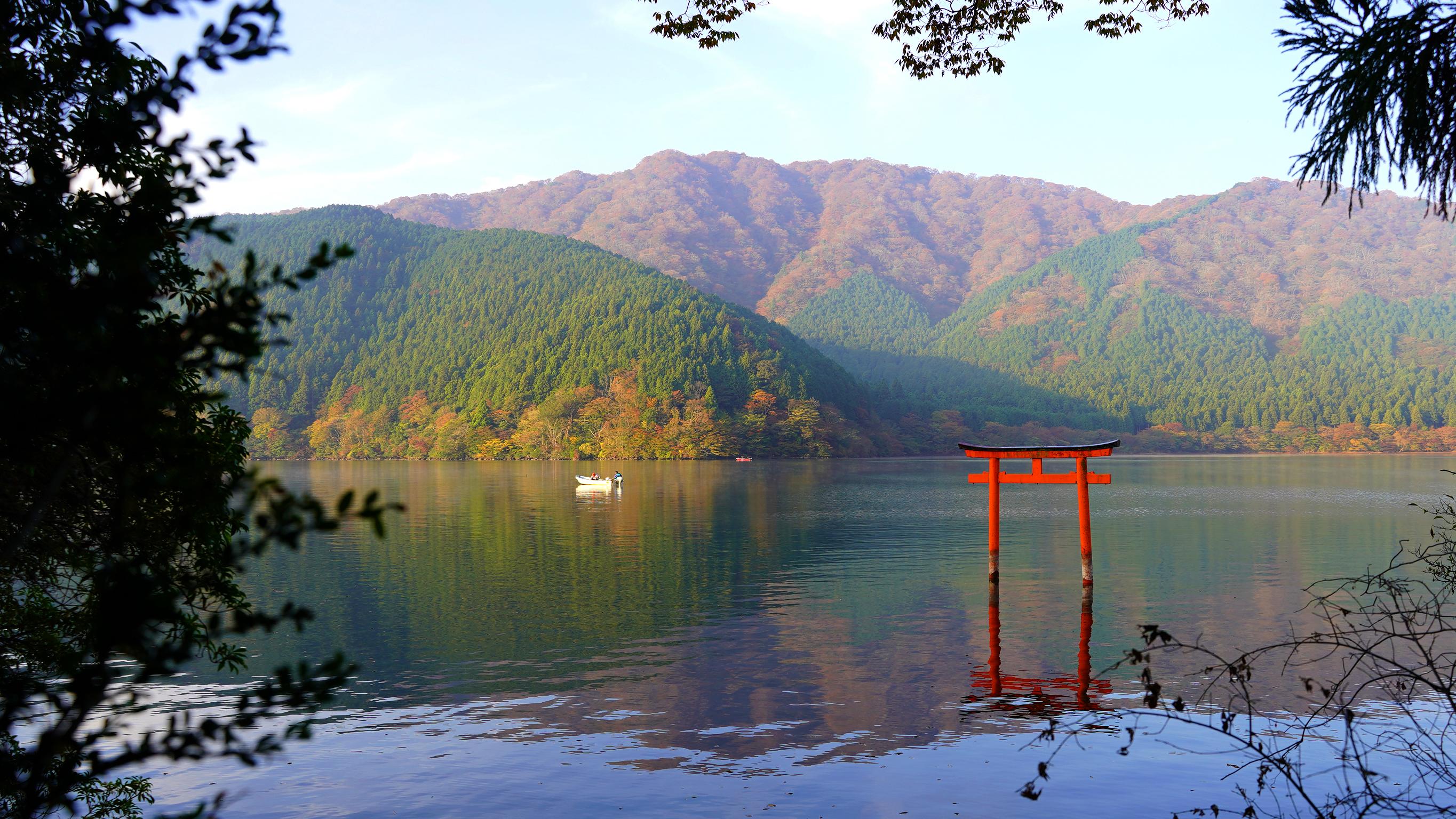 旬の食材を活かした丁寧な和食懐石をお楽しみください。
