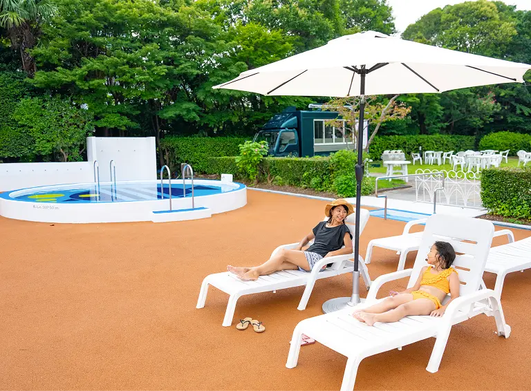 Pool & Dinner Buffet Stay