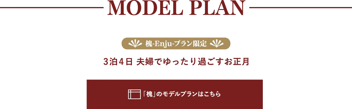 MODEL PLAN