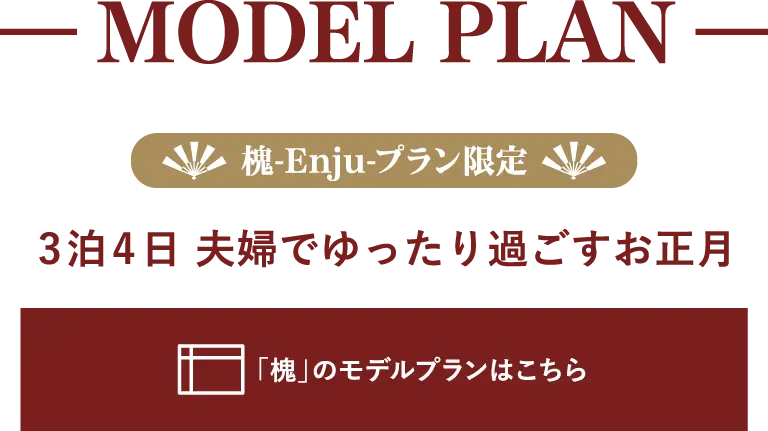 MODEL PLAN