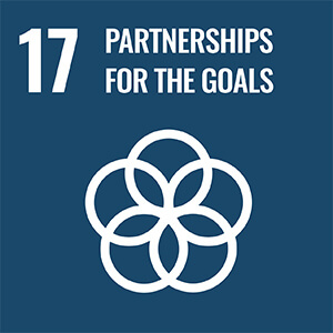17 PARTNERSHIOS FOR THE GOALS