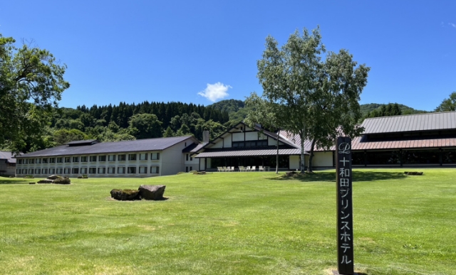 ホテル前の新緑