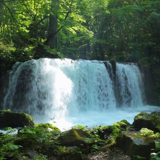 『銚子大滝』