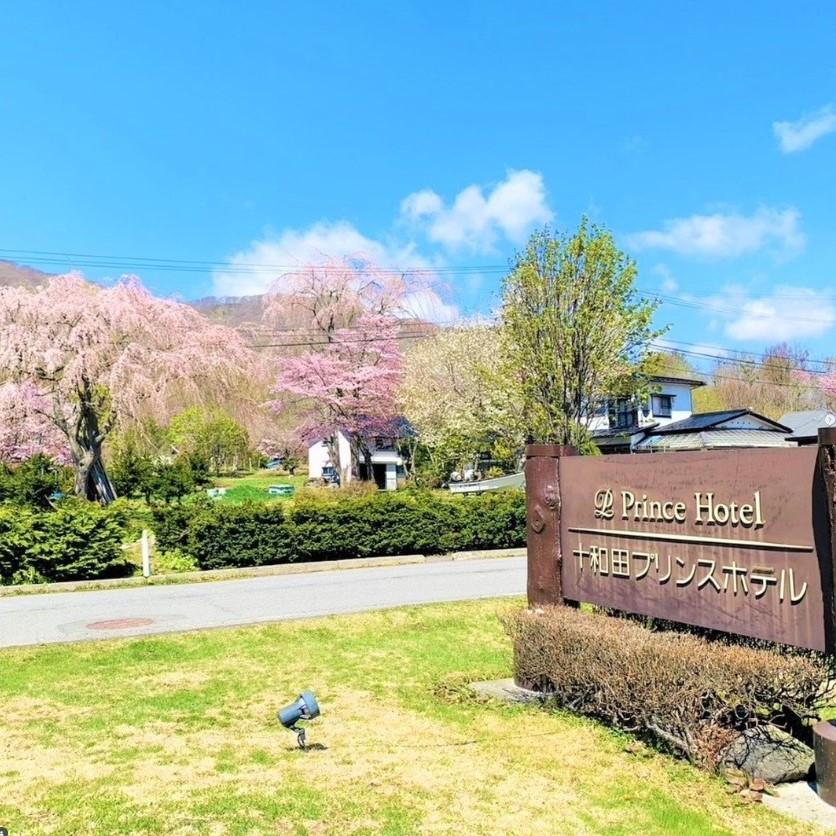 十和田の春イメージ