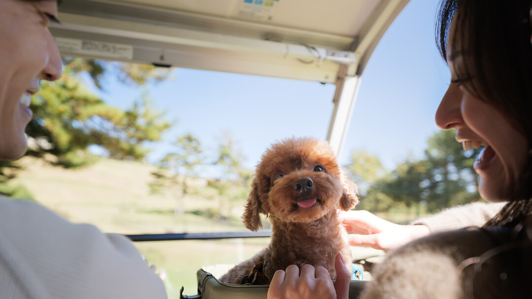 大切な人と 高原の爽やかな風を感じるグラスガーデンドライブ
