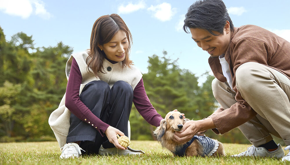 絶景アペリティフ 大切な人やワンちゃんもご一緒に