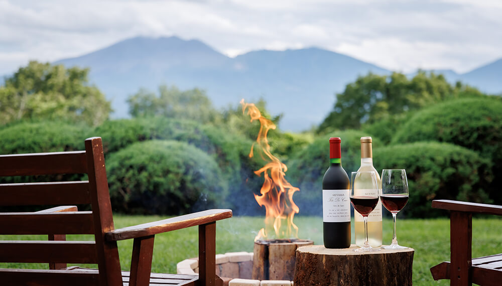 絶景アペリティフ 大切な人やワンちゃんもご一緒に