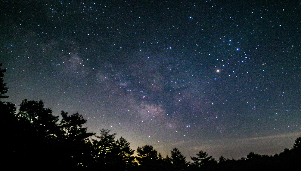 星降るグラスガーデン