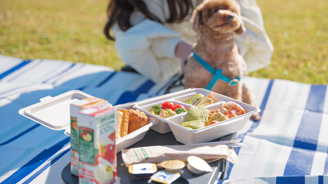 プライベートガーデンで 爽やかな「モーニングピクニック」 