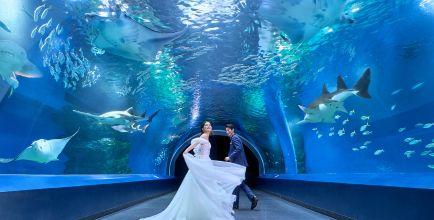 品川駅2分の結婚式場【公式】品川プリンスホテルウエディング | 品川  