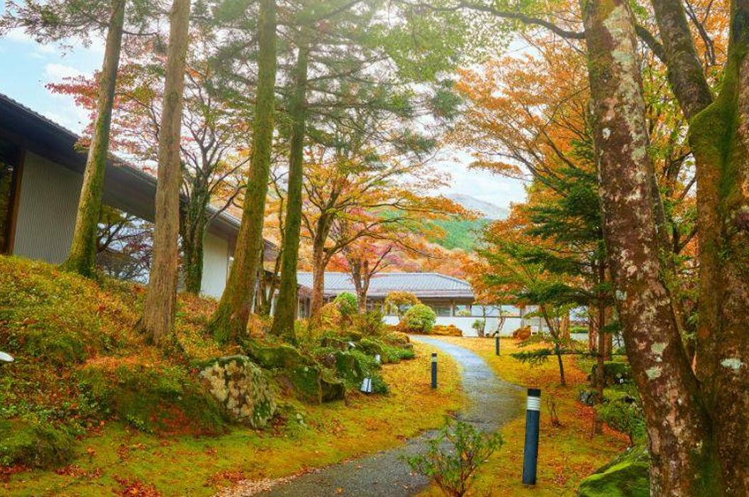 秋の絶景写真ギャラリー04