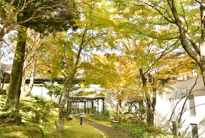 【秋の特別プラン】紅葉と絶景を眺めながら竹あかりと生ビールに酔いしれる