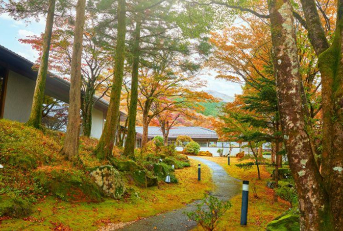 【会員限定】特典満載！湯の花満喫プラン