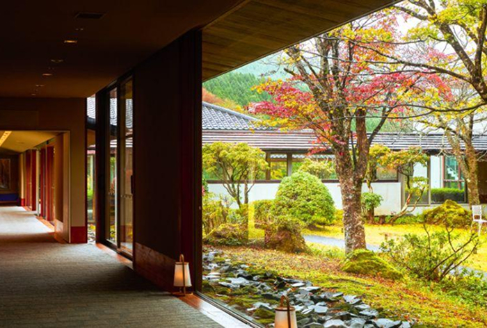 花火鑑賞プラン