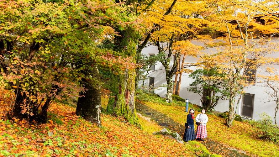 中庭の紅葉。箱根で最も標高の高い場所にある宿